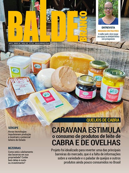 Revista Balde Branco Mar O Digital Balde Branco