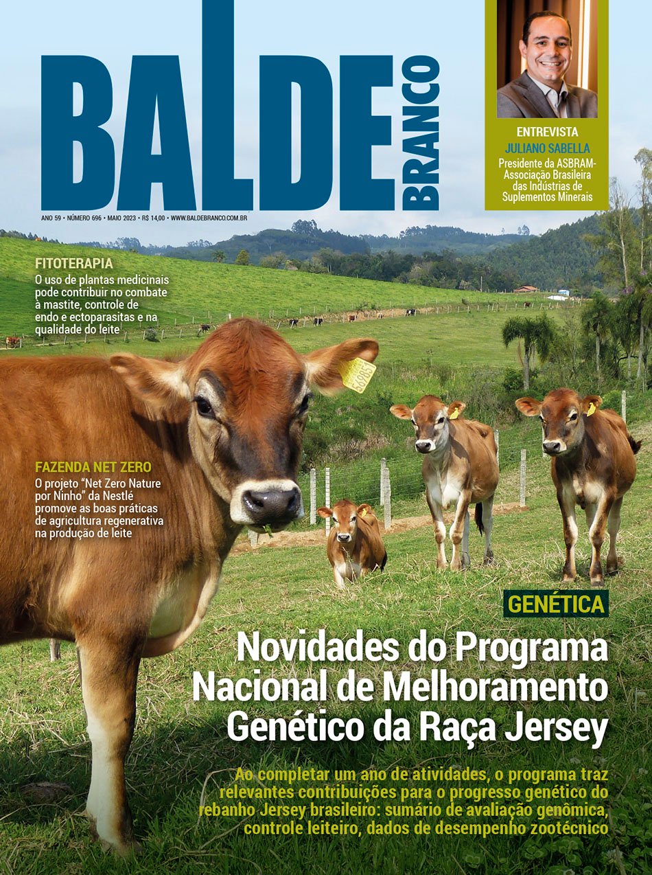 Revista Balde Branco Fevereiro Digital Balde Branco