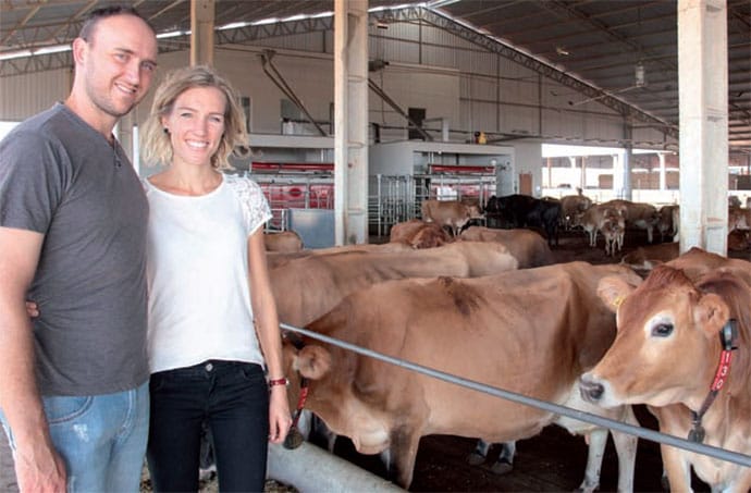 Tecnologia e conforto definem projeto integrado