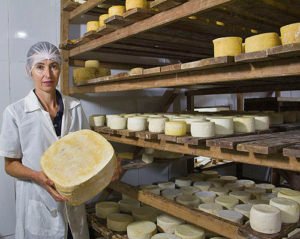 Marly Leite: “Hoje, como meus filhos já assumiram também a fabricação, completamos cinco gerações de produtores de queijos artesanais.”