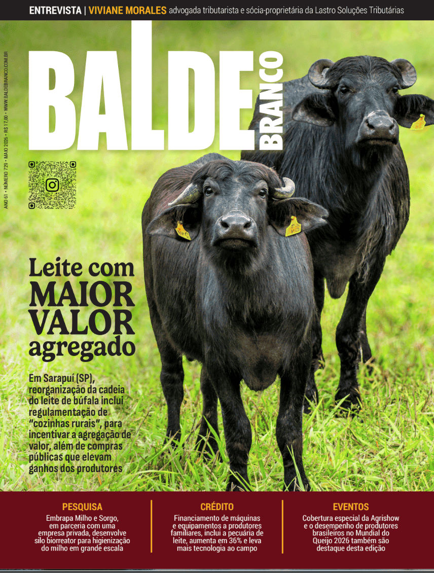 Revista balde branco