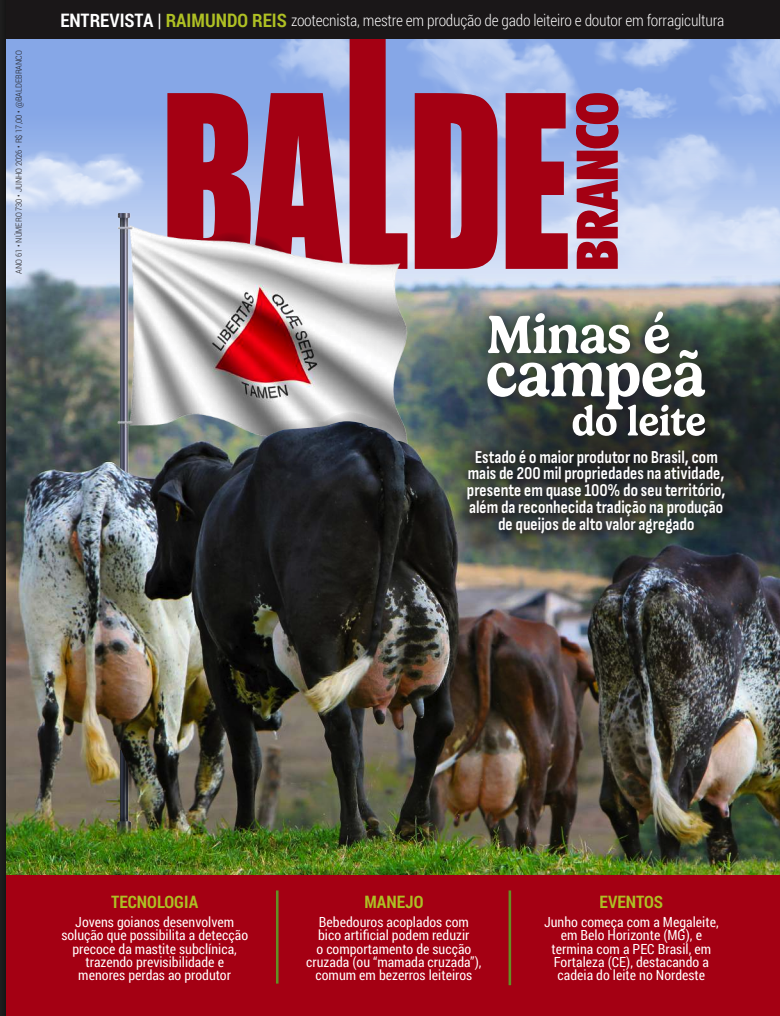 Revista balde branco